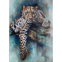 DREAM WORLD - PLAKAT