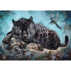 DREAM NIGHT - PLAKAT