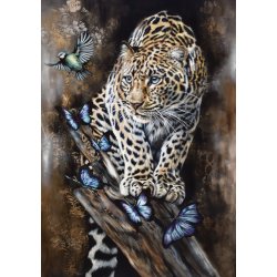 DREAM CATCHER - PLAKAT