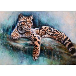 DREAM FOREST - PLAKAT