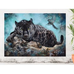 DREAM NIGHT - PLAKAT