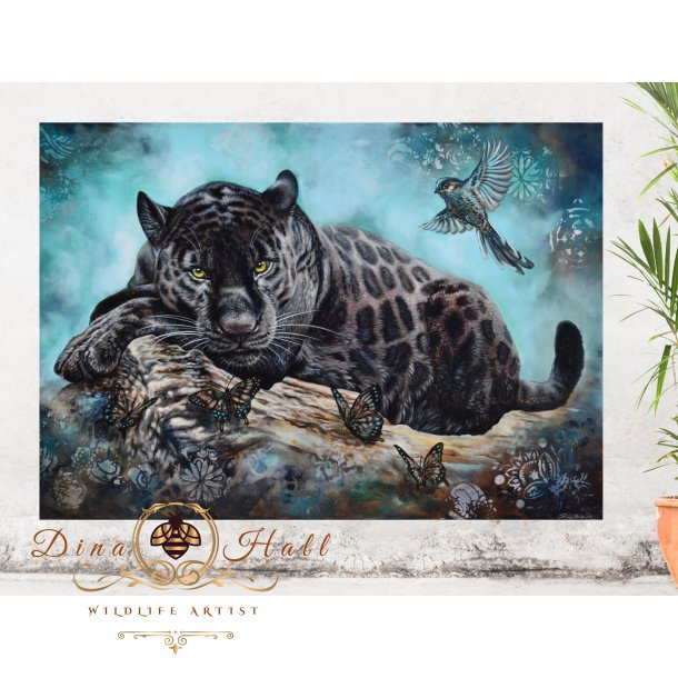 DREAM NIGHT - PLAKAT